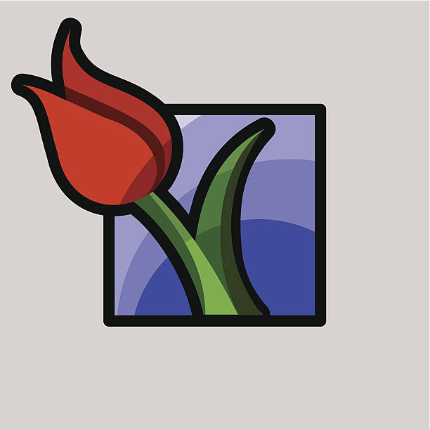 icons for spring - tulip vector art illustration