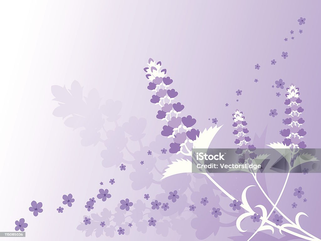 Fundo de primavera de lavanda - Vetor de Beleza natural - Natureza royalty-free