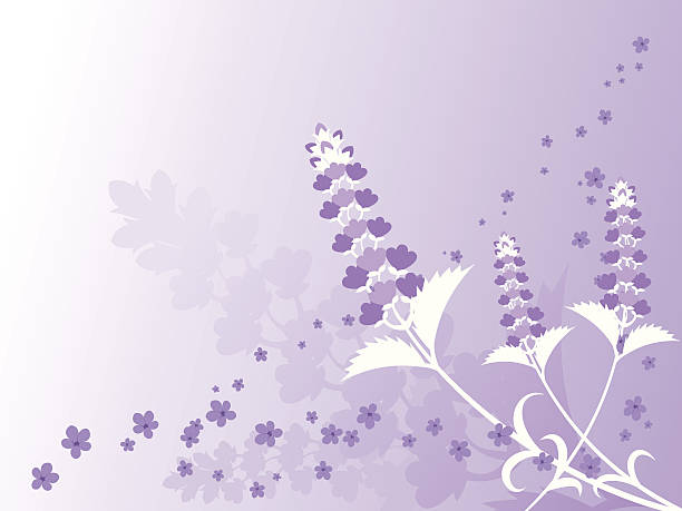 Spring - Lavender Background vector art illustration