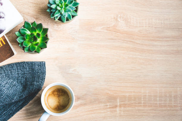 vue de dessus de la scène chaleureuse de maison. livres, couverture en laine, tasse de café et plantes succulentes sur fond en bois. copiez l’espace. - flat lay photos et images de collection