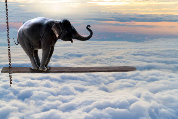 istock elephant walking on wooden swing on the cloud 1150859100