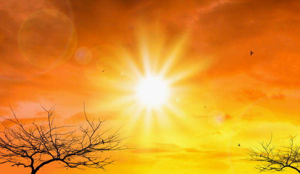 Heat wave of extreme sun and sky background. Hot weather with global warming concept. Temperature of Summer season. Heat wave of extreme sun and sky background. Hot weather with global warming concept. Temperature of Summer season. el nino stock pictures, royalty-free photos & images