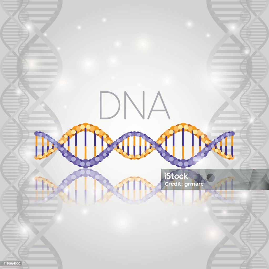 Dna Molecule On Line Structure Pattern Stock Illustration - Download ...