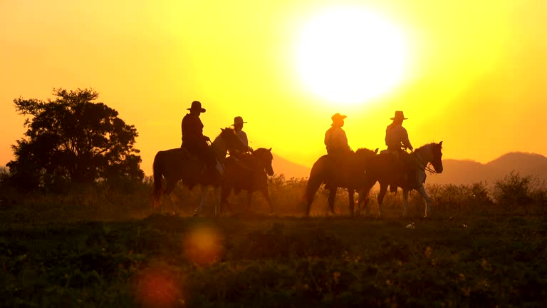 4K Cowboy Riding Horse Walking In The Meadow Field At Sunset