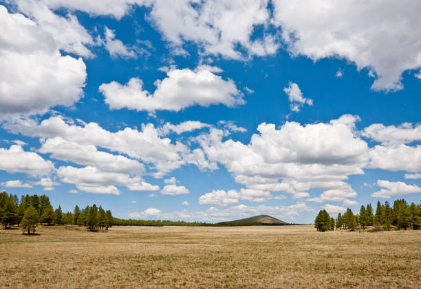 istock Kendrick Park and Cabin Flat Hill 1150862462