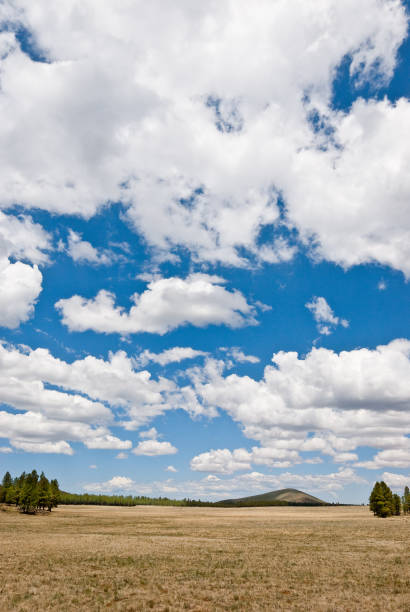 istock Kendrick Park and Cabin Flat Hill 1150862821