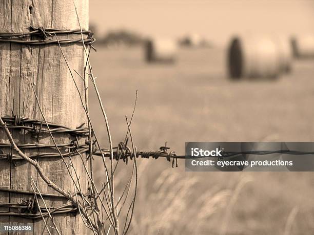 Farm Quinteparete Della Bales - Fotografie stock e altre immagini di Balla di fieno - Balla di fieno, Fieno, Agricoltura