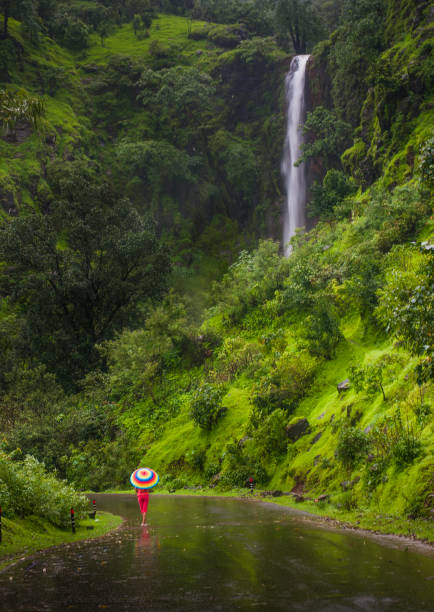 cascata e lussureggianti montagne verdi vicino a satara, maharashtra, india - maharashtra foto e immagini stock