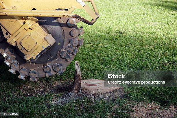 Maquinaria Ubicado Tocón De Árbol De Extractor De Extracción Foto de stock y más banco de imágenes de Tocón de árbol