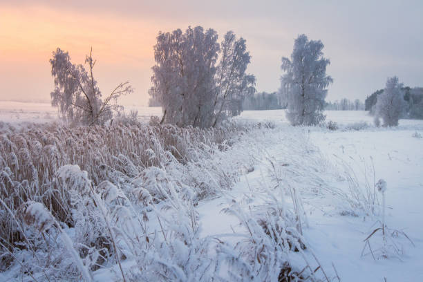 istock Winter scene. Winter cold landscape. Snowy winter nature 1150869308