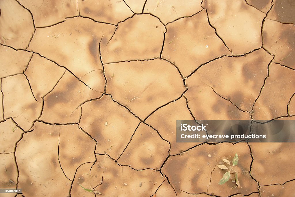 Rachado terra seca - Royalty-free Acidente Natural Foto de stock