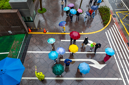 Aerial View Looking Down on Crowd of People Walking With Umbrellas in Wet Weather Crossing the Road
