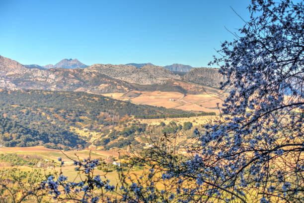 istock Ronda, Andalusia, Spain 1150875947