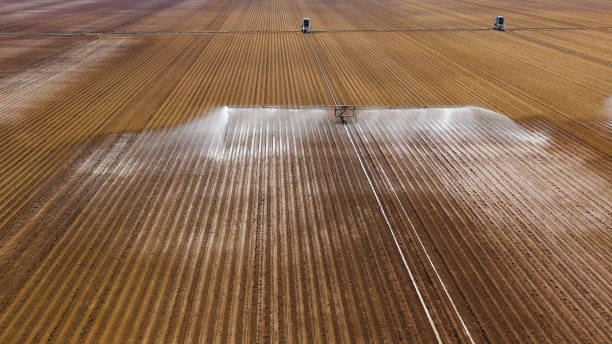 istock Irrigation system on agricultural land 1150879079