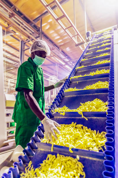 istock African Worker at a Fast Food Snacks Factory 1150881630