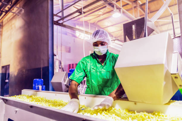 istock African Worker at a Fast Food Snacks Factory 1150881631