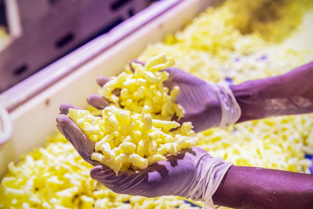 istock African Worker Holding the Savory Snacks 1150881655