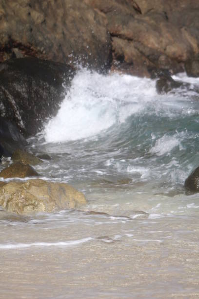 istock seychelles private island beach 1150881810