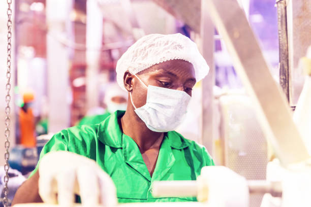 istock Factory Worker Working at a Food Processing Plant in Africa 1150881864