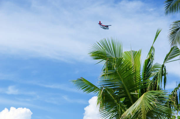 istock Seaplane flying over tropical palm trees in Maldives 1150882827