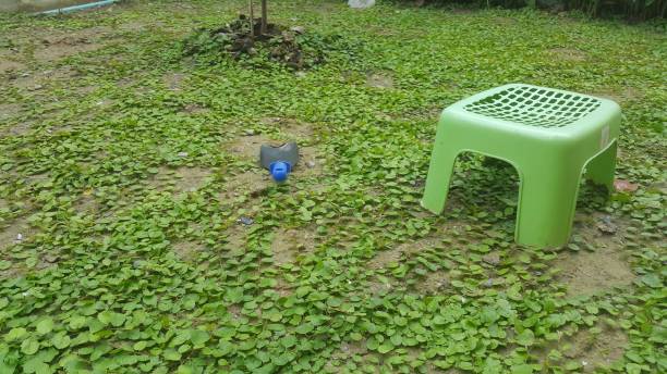 istock Low benches and shovels in the backyard 1150886877