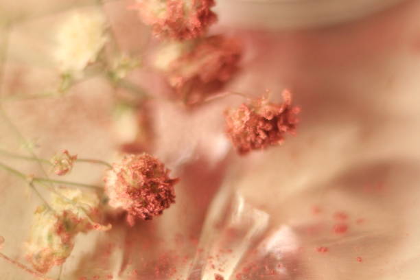 Macro of small flowers covered with red paint powder as background