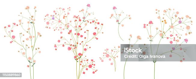 istock Twigs of gypsophile paniculata. Pink, white, red tiny flowers, buds, green leaves. Delicate ramules for bouquets. Panoramic view, botanical illustration in watercolor style, horizontal pattern, vector 1150889860