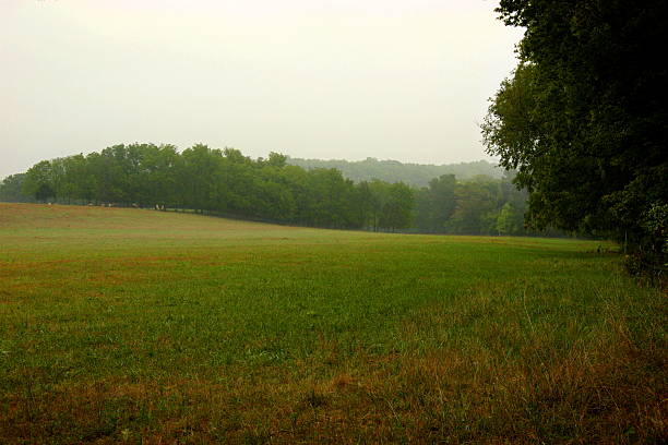 istock pasture land landscapes 115089222