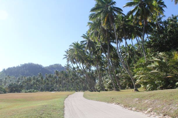 istock seychelles private island beach 1150892612