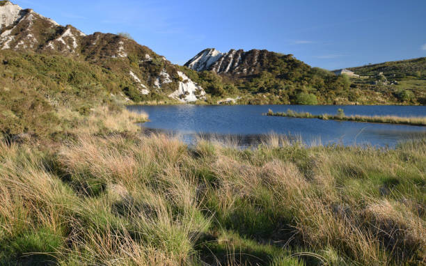 istock Quarry Pool Glynn Valley China Clay pit Bodmin Moor 1150899216