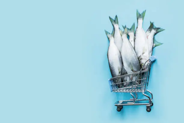 Bluefish in grocery trolley on pastel blue. Fish pattern with space for text. View from above.