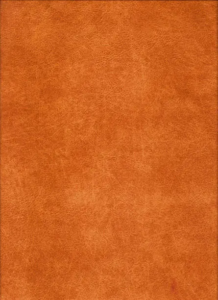 Photo of Leather material from a chamois leather cloth