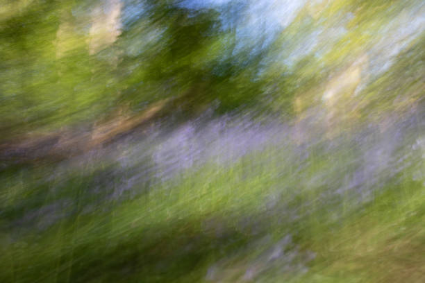 istock Motion blur of bluebell woods 1150902468