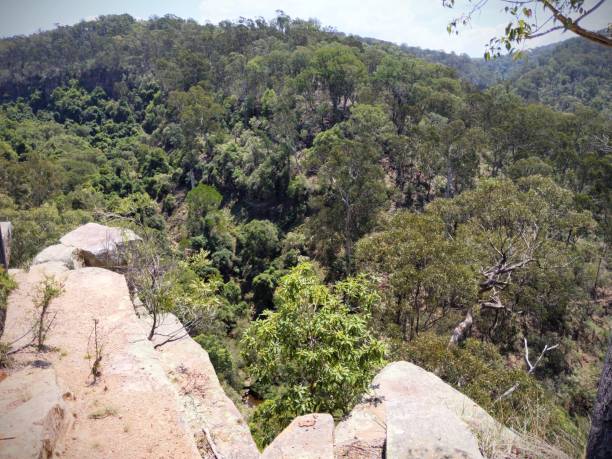 istock Outlook bush Mitchell River Victoria Gippsland 1150905369