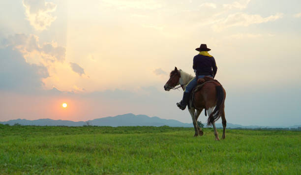 istock Man Riding Horse During Sunset 1150907725