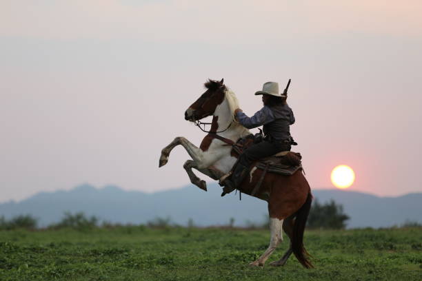 istock Man Riding Horse On Field During Sunset 1150907732