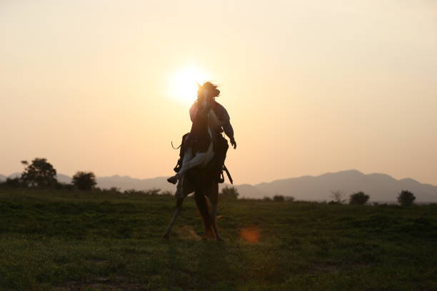 istock Man Riding Horse On Field During Sunset 1150907736