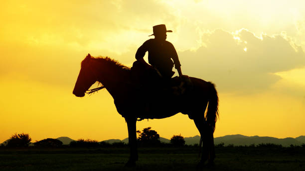 istock Silhouette Man Riding Horse During Sunset 1150907738
