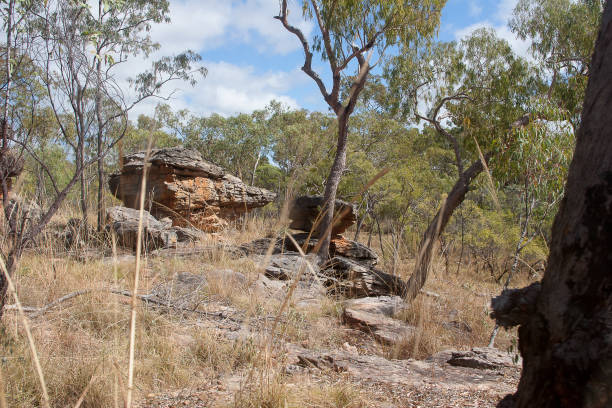 la roche champignon est le site d’une série d’anciennes peintures rupestres de quinkan créées par des aborigènes australiens près de laura, cape york, queensland, australie - aboriginal rock art photos et images de collection
