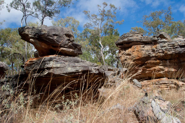 mushroom rock jest miejscem serii starożytnych obrazów quinkan sztuki skalnej stworzonych przez australijskich aborygenów w pobliżu laura, cape york, queensland, australia - aboriginal rock art zdjęcia i obrazy z banku zdjęć