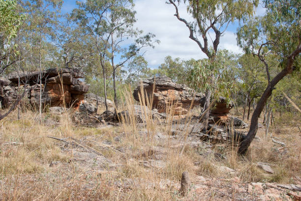 la roccia dei funghi è il sito di una serie di antichi dipinti di arte rupestre quinkan creati da aborigeni australiani vicino a laura, cape york, queensland, australia - aboriginal rock art foto e immagini stock