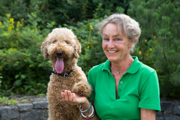 istock summer portrait: active senior woman and her labradoodle dog 1150913828