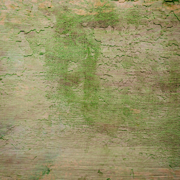 istock Abstract background and texture for your business 1150915791
