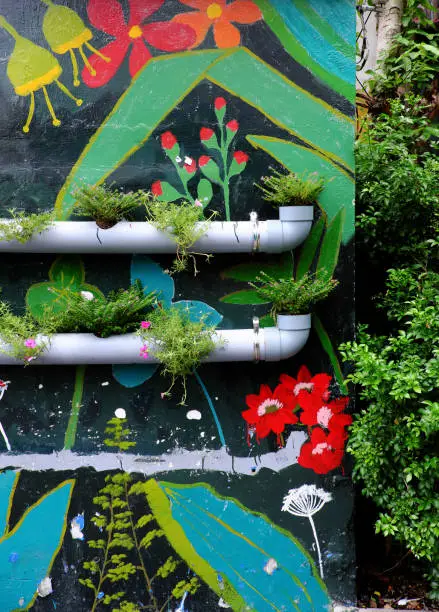 Cute idea to make pretty living environment, flower pots from water pipes on wall with colorful painting background, green wall at on street make pretty way, Ho Chi Minh city, Vietnam