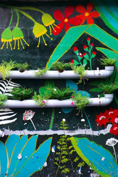 Cute idea to make pretty living environment, flower pots from water pipes on wall with colorful painting background, green wall at on street make pretty way, Ho Chi Minh city, Vietnam