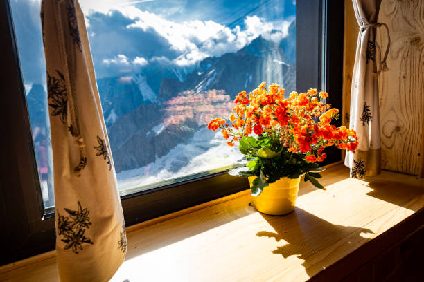 Colourful orange flowers pot window sill, Alps mountains range beautiful landscape view, inside Torino hut cabin, Italy, travel Europe.