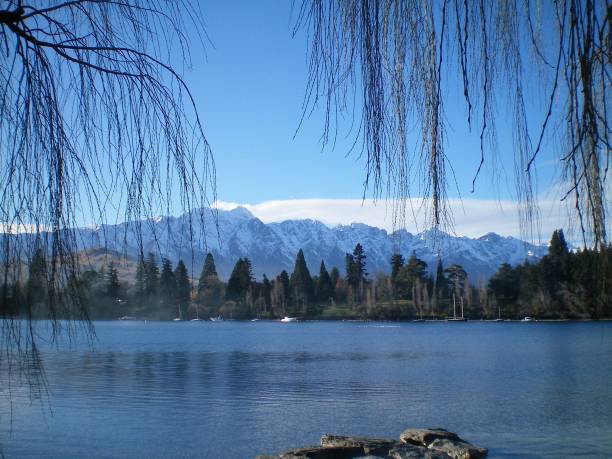 istock Willow branches hanging over a lake, with snow-covered mountains in the distance. 1150918461