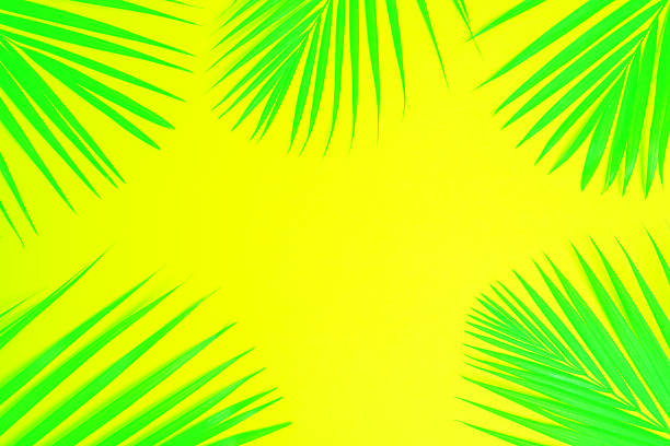 istock Tropical green palm leaves on neon yellow background. 1150919700