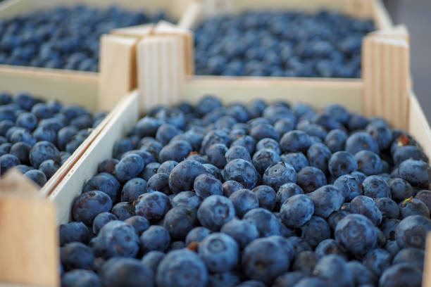 istock Blueberries in a market 1150922710
