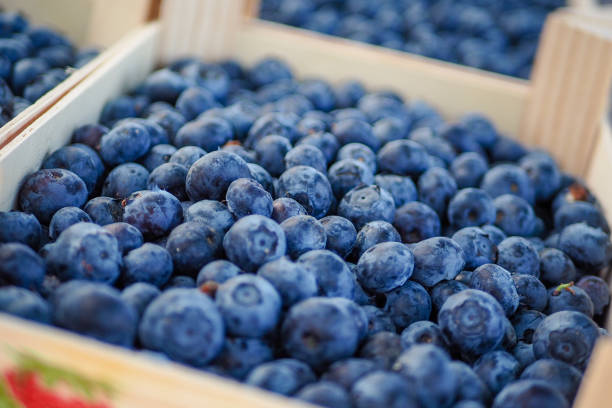 istock Blueberries in a market 1150922711